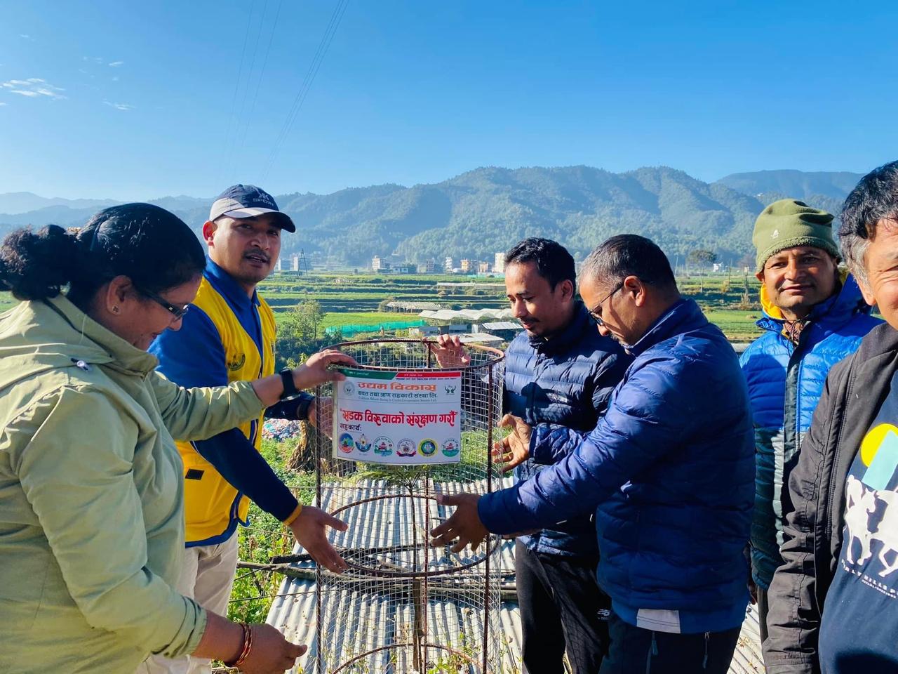 Plantation Program 